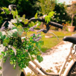 la via delle erbe e dei fiori