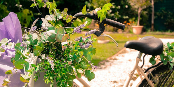 la via delle erbe e dei fiori